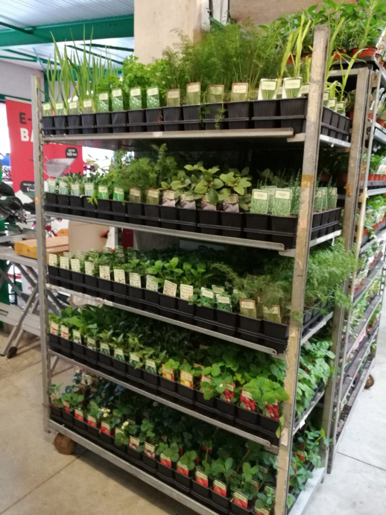 Journée de la tomate - Green Mat